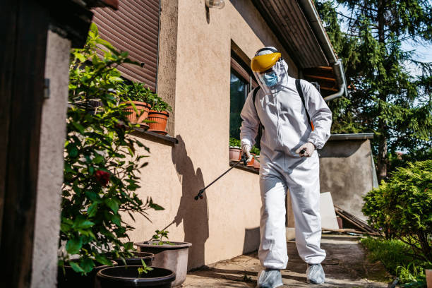 Best Wasp Removal Services  in Parker, SC