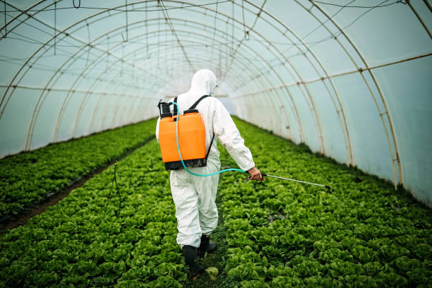 Best Pest Control Near Me  in Parker, SC