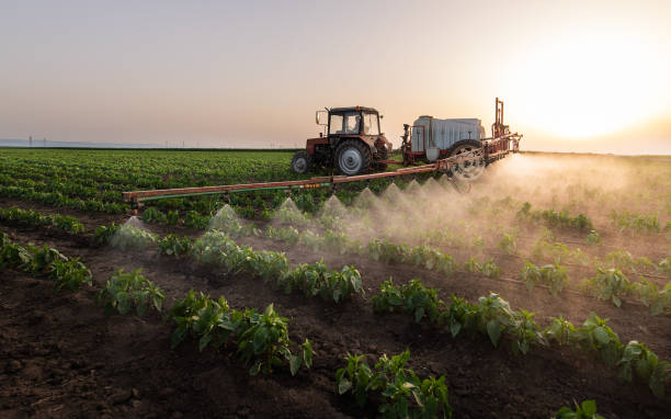 Professional Pest Control in Parker, SC