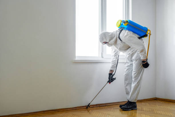 Best Flea Control Services  in Parker, SC