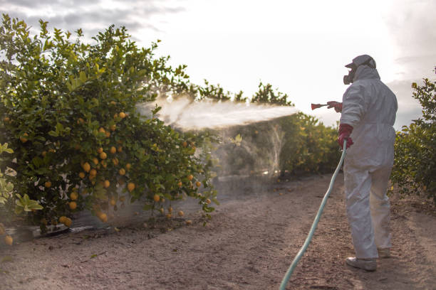 Best Wildlife Control Services  in Parker, SC