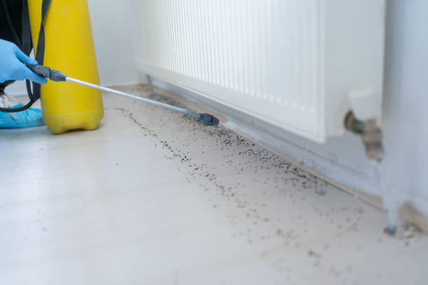 Best Pest Control for Restaurants  in Parker, SC