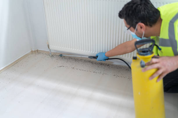 Best Ant Control Services  in Parker, SC